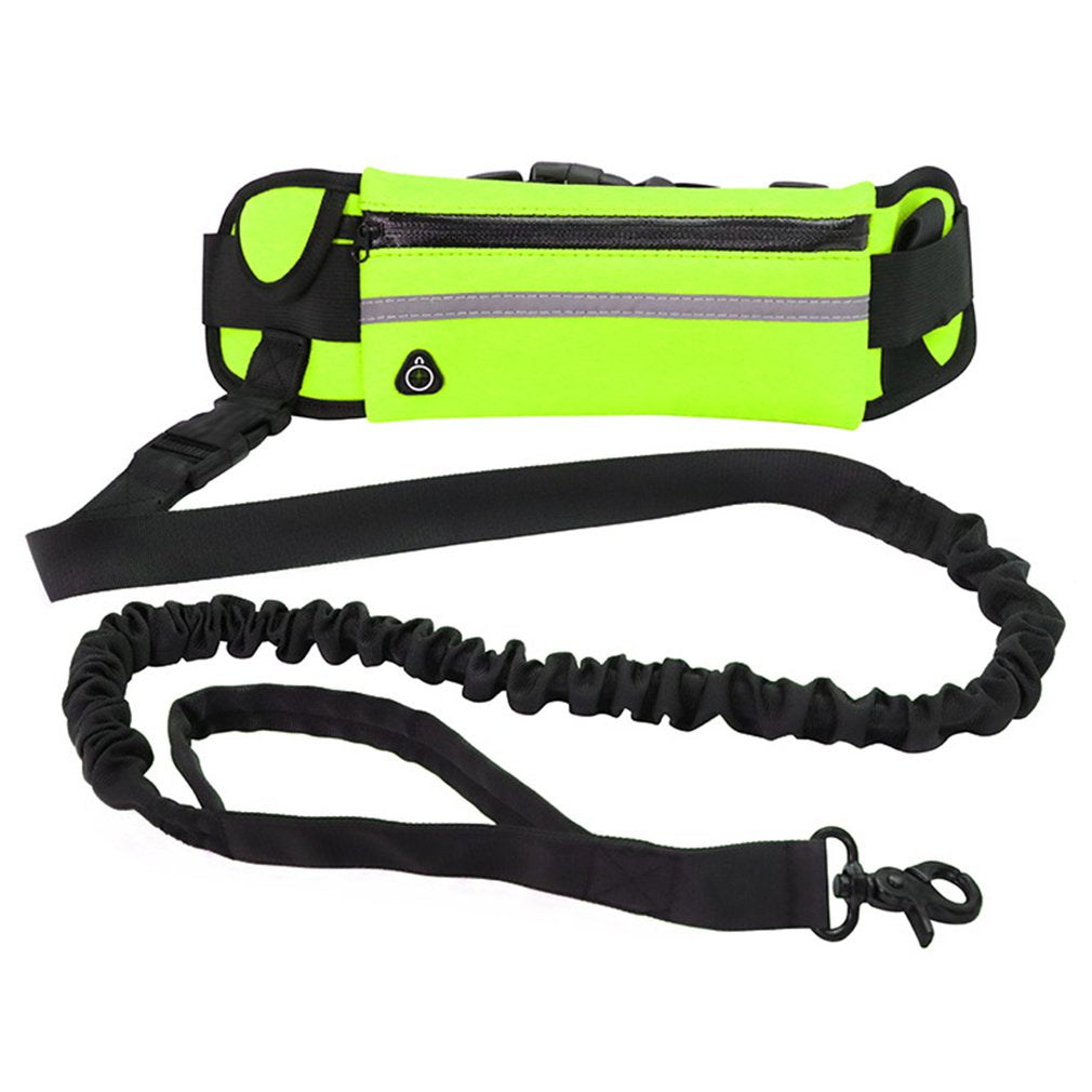 Hands-Free Running Dog Leash