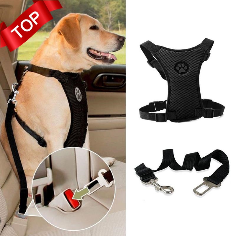 Dog Safety Chest Car Straps