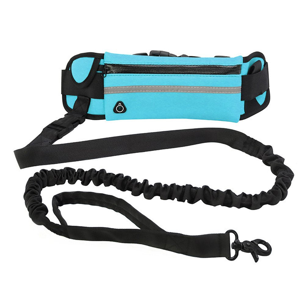 Hands-Free Running Dog Leash