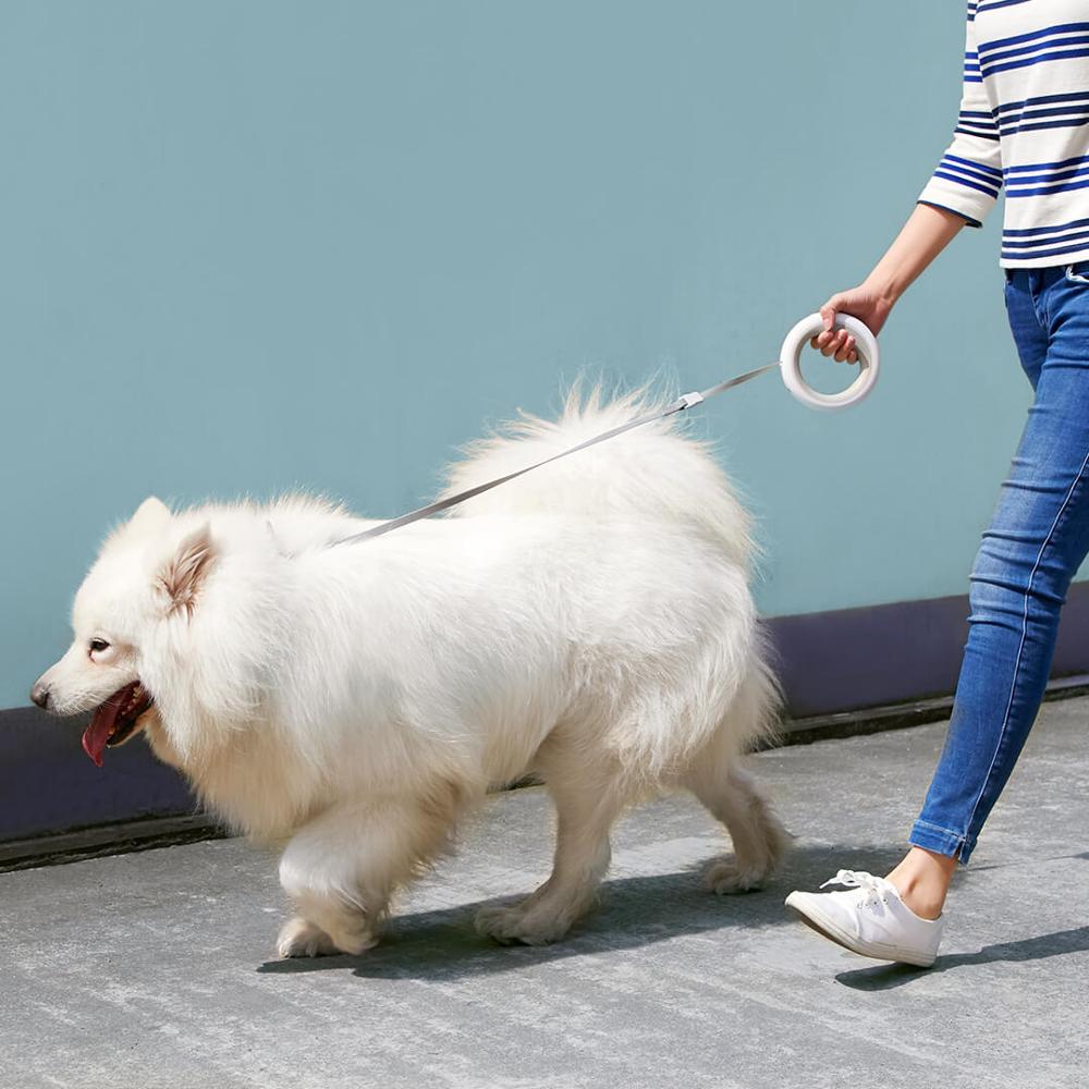 Retractable Pet Leash with Light