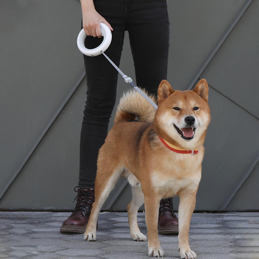 Retractable Pet Leash with Light