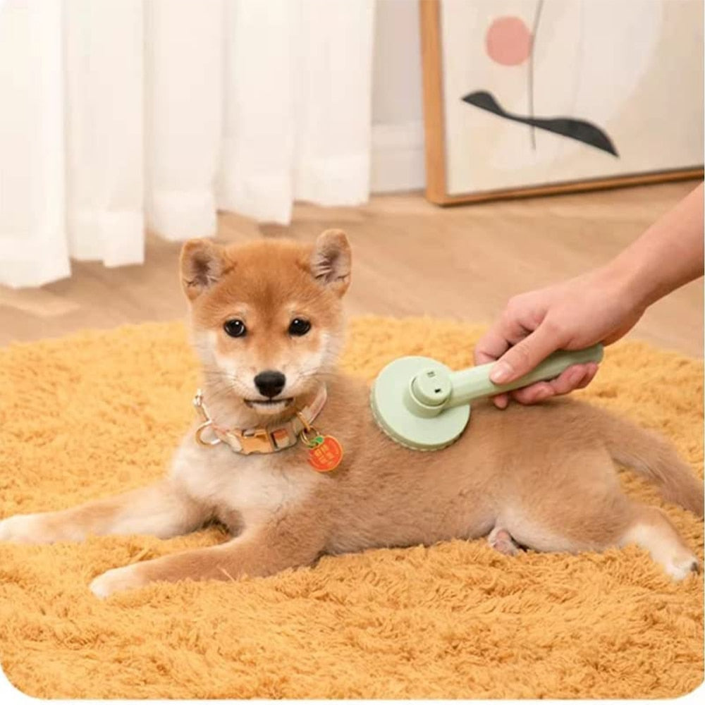 Pet Hair Grooming Brush