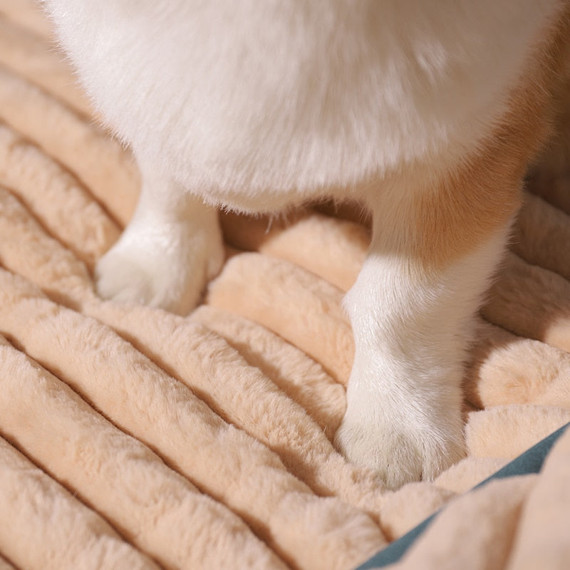 Padded Dog Cushion and Bed