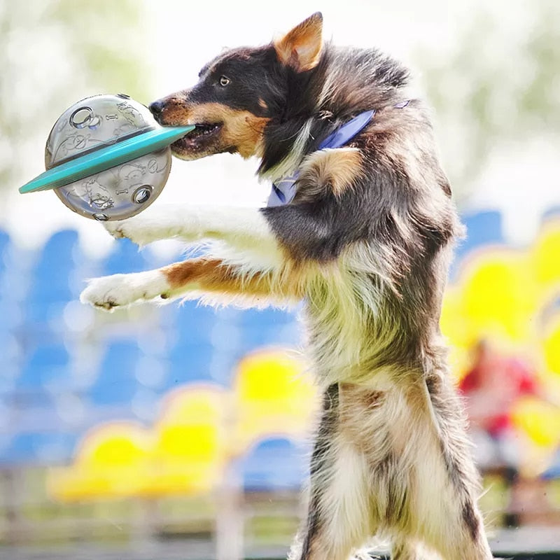 Game Fly Discs Toys Slow Food Feeder Ball