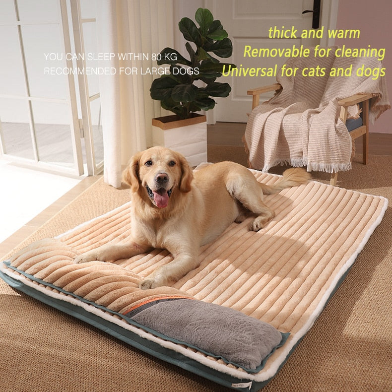 Padded Dog Cushion and Bed