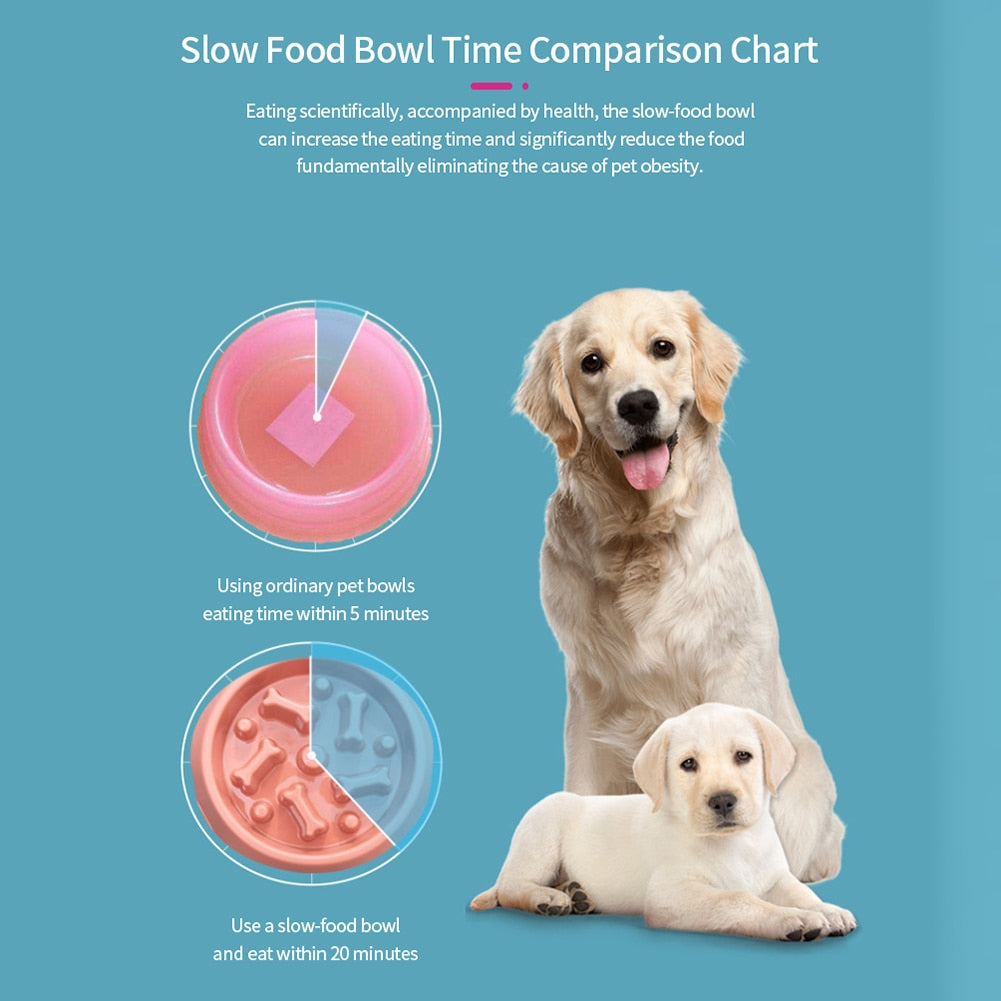 Dog Slow Feeder Bowls