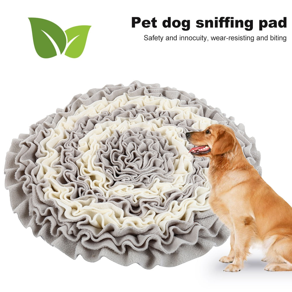 Sniffing Training Mat