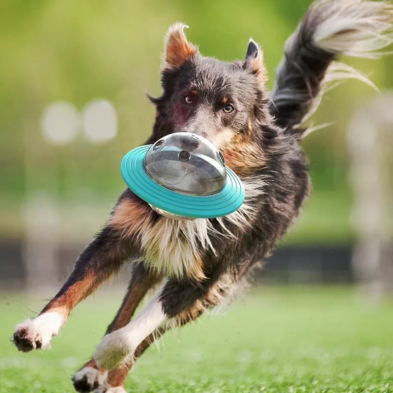 Game Fly Discs Toys Slow Food Feeder Ball