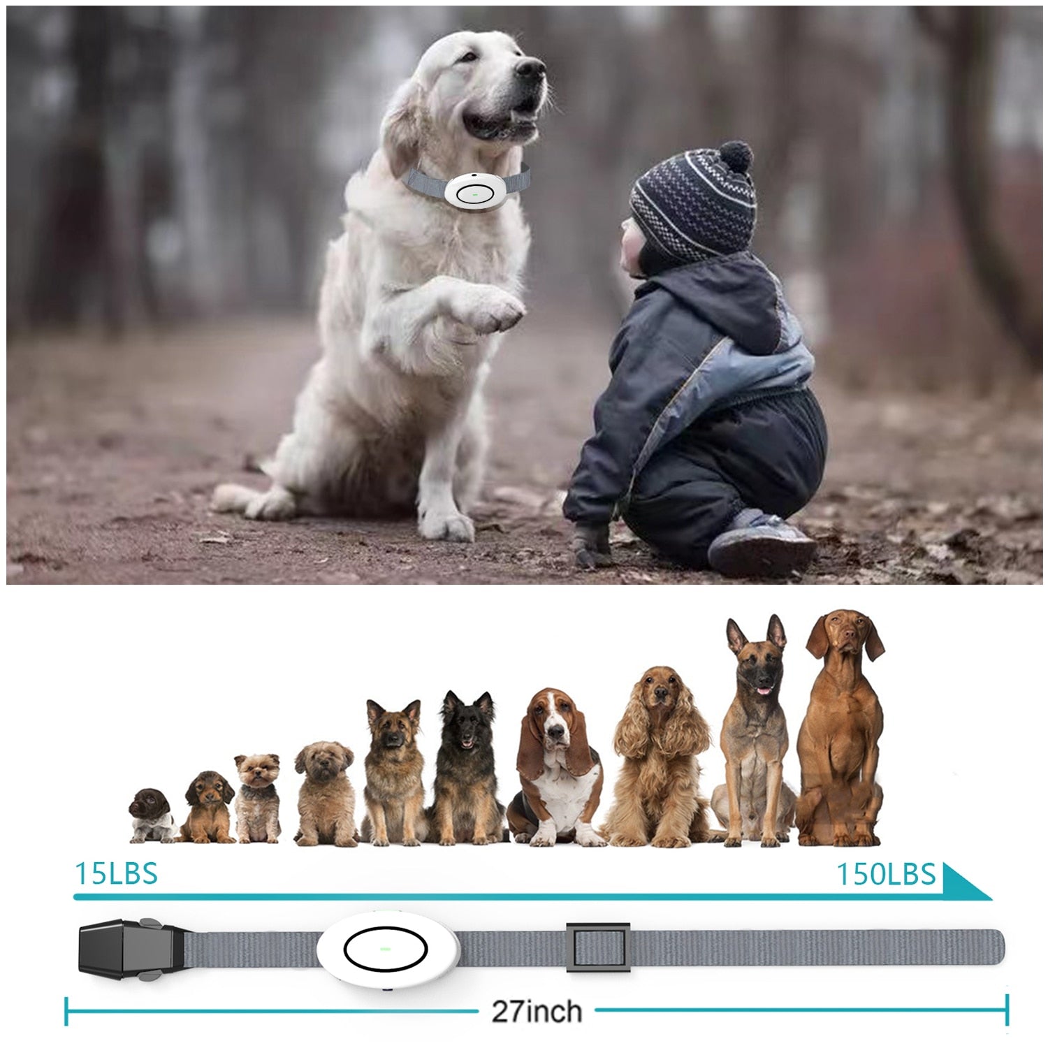 Waterproof Dog Electric Training Collar