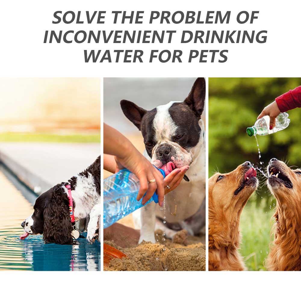 On-The-Go Pet Water Bottle